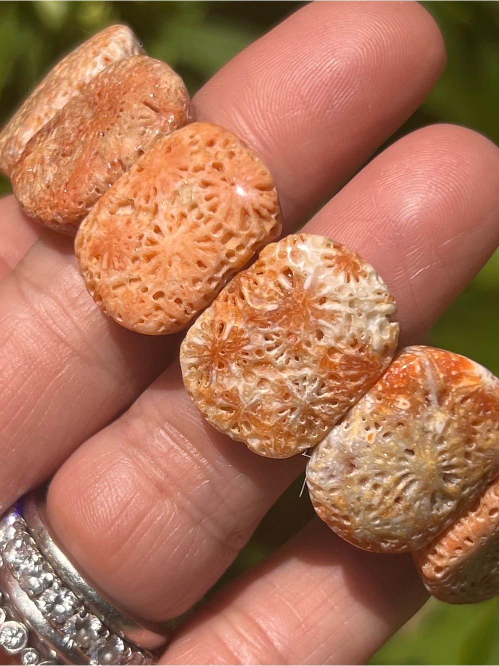 Coral (11) jade bangle | crystal